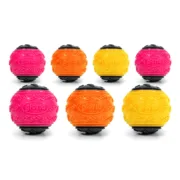 Brinquedo para cães Gloria Multicolor TPR 24 Unidades Animais de Estimação - nacloset
