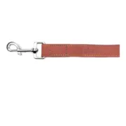 Trela para Cães Gloria Oasis 1.5 x 100 cm Vermelho Animais de Estimação - nacloset 2