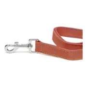 Trela para Cães Gloria Oasis 2.1 x 100 cm Vermelho Animais de Estimação - nacloset