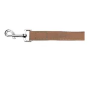 Trela para Cães Gloria Oasis 3 x 60 cm Castanho Animais de Estimação - nacloset 2