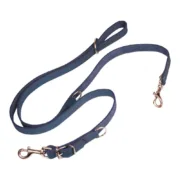Trela para Cães Gloria Oasis Múltiplo 2.1 x 200 cm Azul Animais de Estimação - nacloset