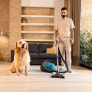 Aspirador Cecotec Conga Rockstar Cyclonic XL ProAnimal 900 W Cinzento Aspiradores e robôs - nacloset 2