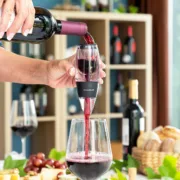 Arejador de Vinho com Filtro, Suporte e Capa Wineir InnovaGoods Acessórios de Cozinha - nacloset