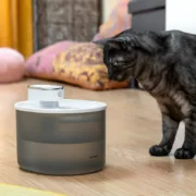 Fonte de Água para Gatos com Sensor Animais de Estimação - nacloset