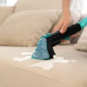 Aspirador Cecotec Conga 2000 Carpet&Spot Clean Compact Aspiradores e robôs - nacloset 2
