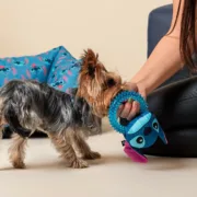 Brinquedo para cães Stitch Azul EVA 13 x 6 x 22 cm Animais de Estimação - nacloset 2