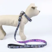 Coleira para Cães Disney Animais de Estimação - nacloset