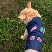 Casaco para cão Marvel Azul S Animais de Estimação - nacloset 2
