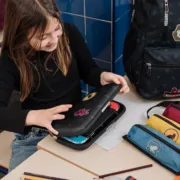 Estojo para Nintendo Switch Harry Potter Multicolor Eletrónica | Jogos - nacloset 2
