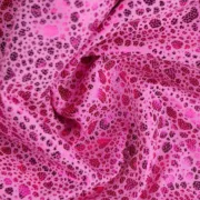 S0743064_2