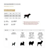 Camisola para cão Real Madrid C.F. Branco XXS Animais de Estimação - nacloset 2
