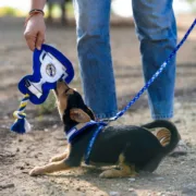 Brinquedo para cães Real Madrid C.F. Cinzento Poliéster Algodão Animais de Estimação - nacloset 2