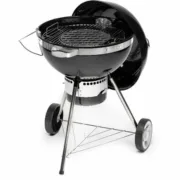 Churrasco Portátil Fieldmann FZG 1017 Metal Aço Casa | Jardim - nacloset 2