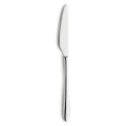 Conjunto de Facas Amefa Cuba Metal 24,2 cm 12 Unidades Conjuntos de Facas - nacloset