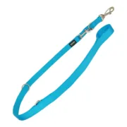 Trela para Cães Red Dingo Turquesa (1,5 x 200 cm) Animais de Estimação - nacloset