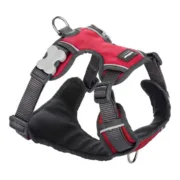 Arnês para Cães Red Dingo Acolchoado Vermelho Tamanho XS Animais de Estimação - nacloset