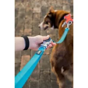 Trela para Cães Red Dingo Turquesa Animais de Estimação - nacloset 2