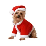 Fantasia para Cão Pai Natal Animais de Estimação - nacloset