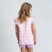 S2455668_4