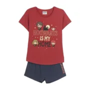 Pijama Harry Potter Vermelho Escuro Moda | Acessórios - nacloset
