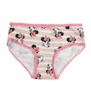Conjunto de Cuecas para Menina Minnie Mouse Multicolor Bebés e Crianças - nacloset 2