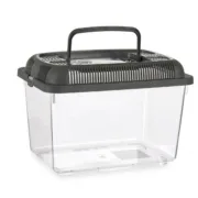 Aquário Com pega Médio Antracite Plástico 3 L 17 x 16 x 24 cm (12 Unidades) A Preço de Revenda - nacloset 2