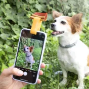 Clipe de Selfies para Animais de Estimação Pefie Acessórios para Máquinas Fotográficas e Câmaras de Vídeo - nacloset