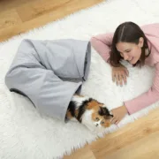 Túnel Dobrável para Animais de Estimação Funnyl Animais de Estimação - nacloset 2