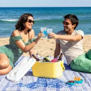 Geleira Portátil Rígida Lilty InnovaGoods 15 L Caixas térmicas de praia - nacloset 2