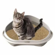 Caixa de Areia para Gatos Georplast GP10536 58 x 48 x 20,5 cm (8 Unidades) Animais de Estimação - nacloset 2