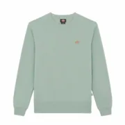 Polar sem Capuz Homem Dickies Oakport Azul Verde L Moda | Acessórios - nacloset