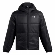 Casaco de Homem Under Armour Lw Insulated Preto Blusões - nacloset