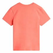 Camisola de Manga Curta Mulher Vans Flying V Flyv Cor de Rosa Salmão Moda | Acessórios - nacloset 2