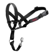 Coleira de Treino para Cães Company of Animals Halti Preto Açaime (40-54 cm) Animais de Estimação - nacloset