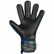 Luvas de Guarda-Redes Reusch Attrakt Freegel Azul Adultos Desporto | Lazer - nacloset 2