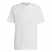 Camisola de Manga Curta Homem Adidas M All Szn T Branco L Moda | Acessórios - nacloset