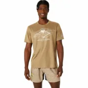 Camisola de Manga Curta Homem Asics Fujitrail Logo Ss Top Castanho Bege Desporto | Lazer - nacloset