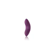 Vibrador Svakom Massagem Erótica - nacloset 2