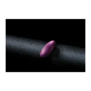 M0407541_11