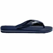 Chinelos para Homem Havaianas Logo Azul Chinelos e meias de natação - nacloset