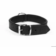 Coleira para Cães Gloria Drymilled 55 cm Animais de Estimação - nacloset