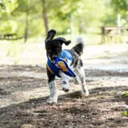 Brinquedo para cães Real Madrid C.F. Azul Animais de Estimação - nacloset 2