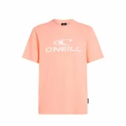 Camisola de Manga Curta Homem O’Neill Salmão Moda | Acessórios - nacloset