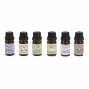 Óleo de fragrância Lifetime Algodão Bambu Jasmin Sândalo Abaunilhado 10 ml Anticelulíticos - nacloset