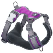 Arnês para Cães Red Dingo Dingo 30-47 cm 37-52 cm Roxo S Animais de Estimação - nacloset