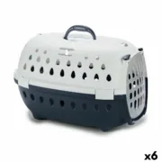 Caixa de Transporte Chic 50 x 34 x 34 cm (6 Unidades) A Preço de Revenda - nacloset