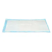 Resguardos absorventes 40 x 60 cm Azul Branco Papel Polietileno (10 Unidades) A Preço de Revenda - nacloset 2
