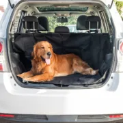 Capa Protetora de Carro para Animais de Estimação Acessórios para Automóveis - nacloset 2