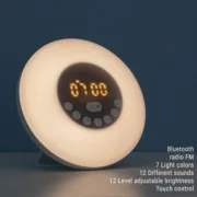V0703085_2