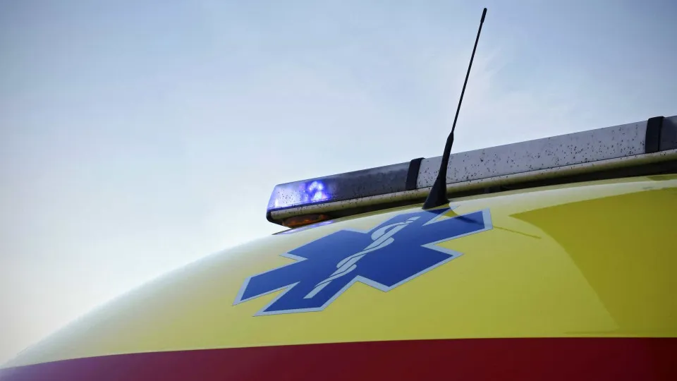 Die driver in the collision between a motorcycle and a boar in Nelas